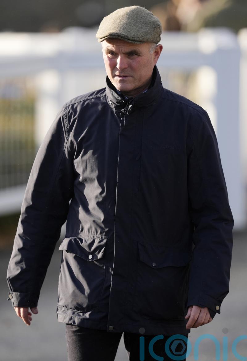 Evan Williams could be jailed after attacking dog walker