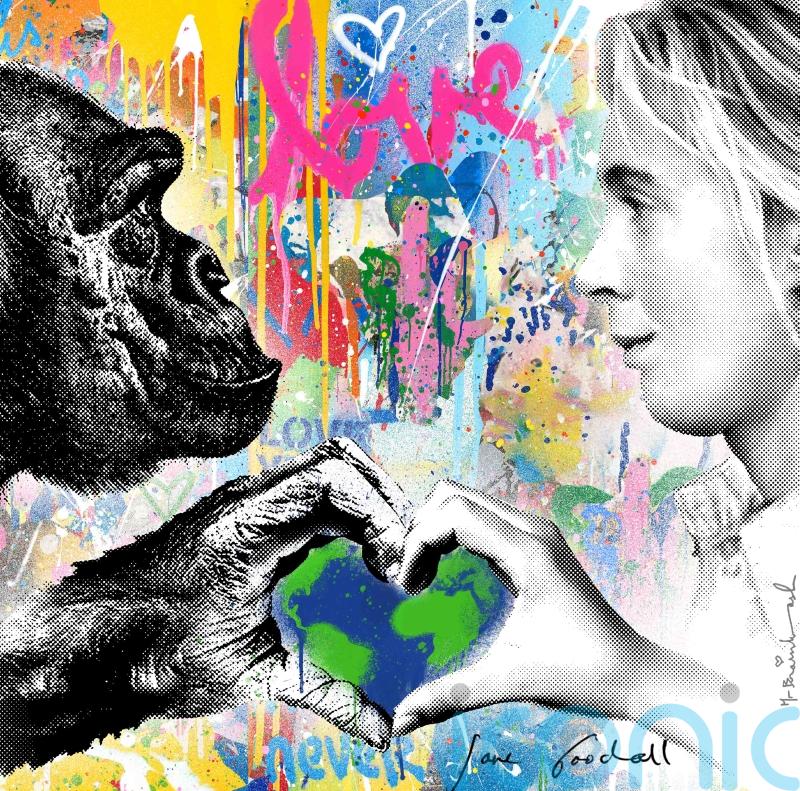 Charity auction to be held in honour of environmental activist Jane Goodall