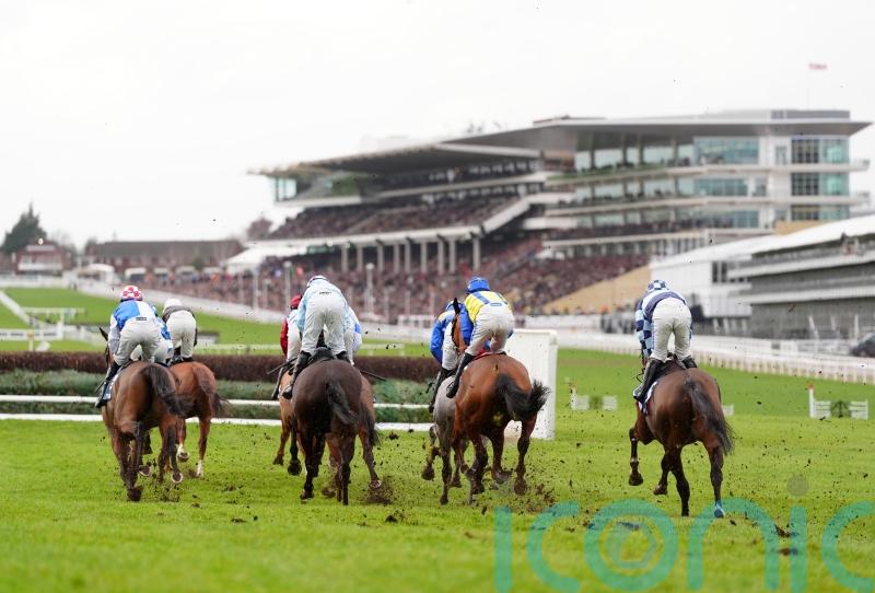 Cheltenham season over as final three meetings cancelled for drainage upgrade